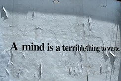 Mind is a terrible thing to waste